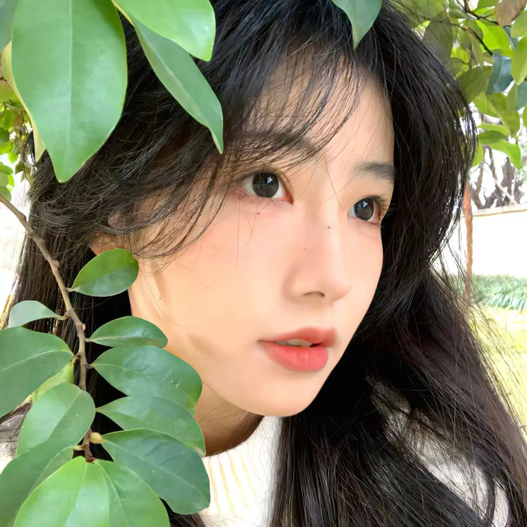 死亡真面目6