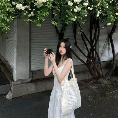 不可思议猫森林